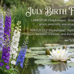 July Birth Flower: Larkspur, Water Lily & Meaning