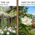 What Blooms in May? Flowers Across the UK & Georgia